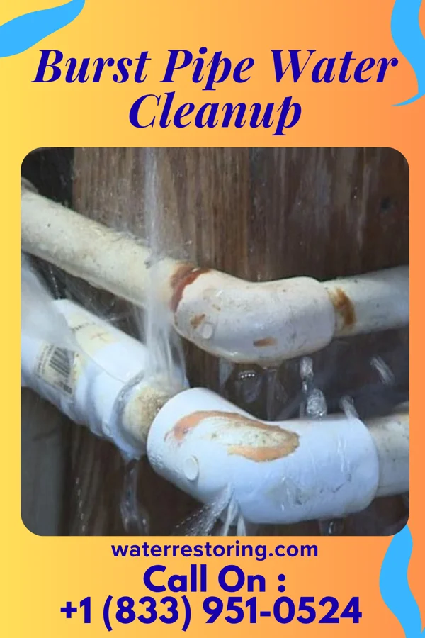 Burst Pipe Water Cleanup in Ankeny, IA